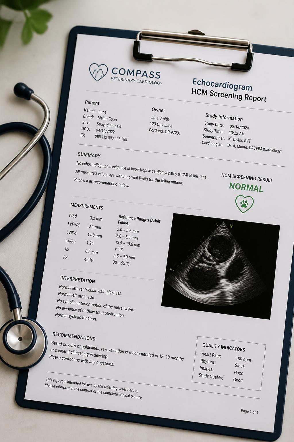 HCM Echocardiogram Report — Azurine Russian Blue Cattery